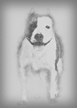 Portrait of American Staff