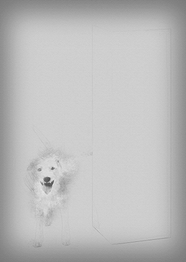 Parson Russell terrier uri