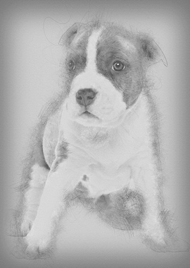 Portrait of American Staff