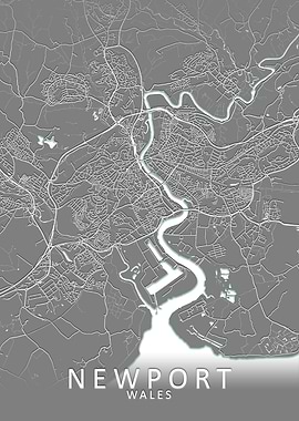 Newport Grey City Map