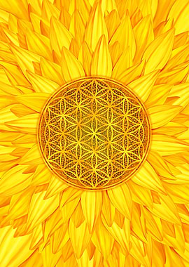 Flower of Life Sunflower