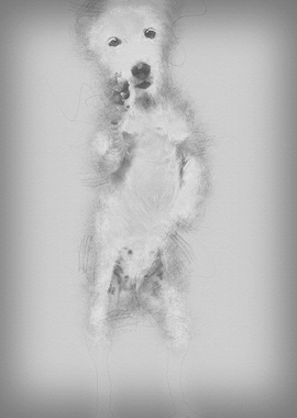 View througth a glass of a