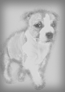 Portrait of American Staff