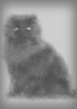 Portrait of Persian cat 7