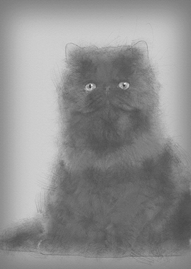 Portrait of Persian cat 7