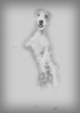 View througth a glass of a