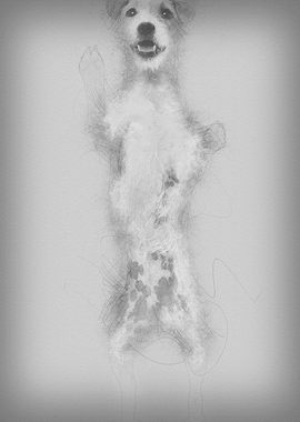 View througth a glass of a