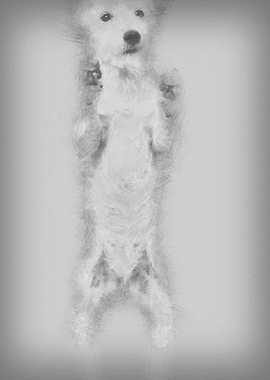 View througth a glass of a