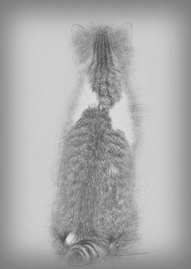 Rear view of a British Sho