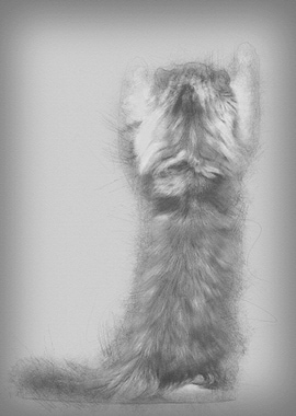 Rear view of an American C