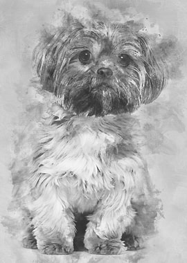 Mixedbreed dog 10 months