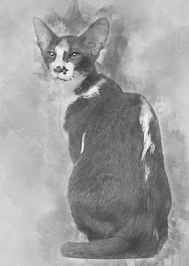 Rear view of an Oriental S