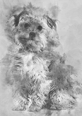 Mixedbreed dog sitting ag