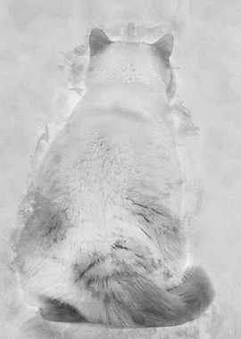 Rear view of a Fat British