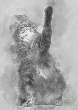 Norwegian Forest Cat 1 an