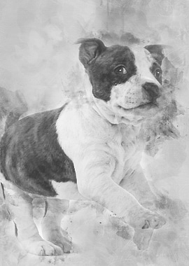 Portrait of American Staff