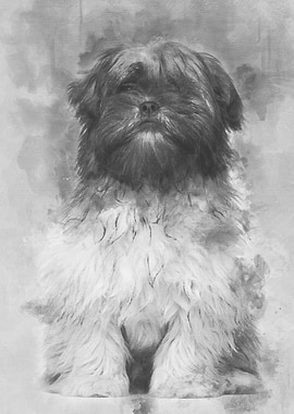 Lhasa apso sitting against