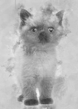 Portrait of British Shorth