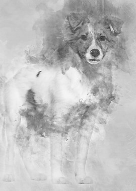 Mixedbreed dog standing a