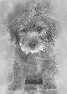 Mixedbreed dog puppy 3 mo