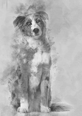 Portrait of Australian She