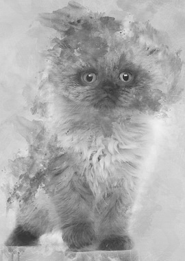 Portrait of Highland fold