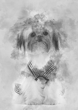 Shih Tzu sitting against w