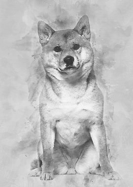 Shiba Inu sitting against