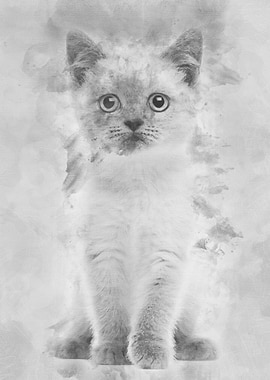 Portrait of British Shorth