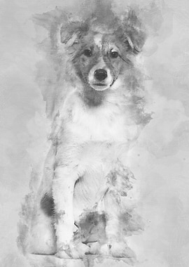 Mixedbreed dog sitting ag