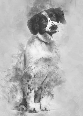 Mixedbreed dog sitting ag