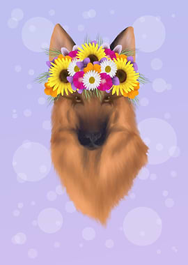 German Shepherd