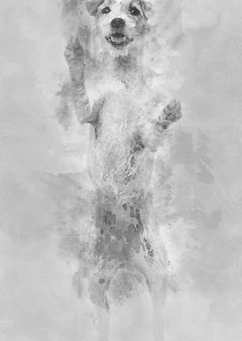 View througth a glass of a