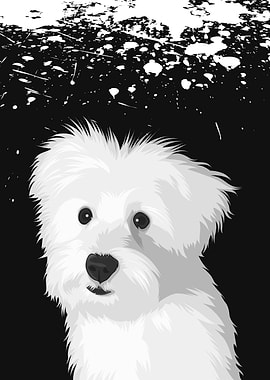 Vector Dog Maltese