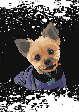 Pet Chihuahua Dog Cute