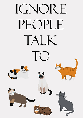 talk to cats