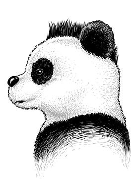 Punk Panda Profile