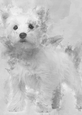 West Highland Terrier pupp