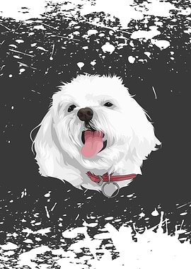 cute vector dog maltese