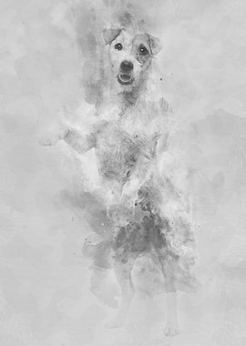 View througth a glass of a