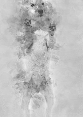 View througth a glass of a