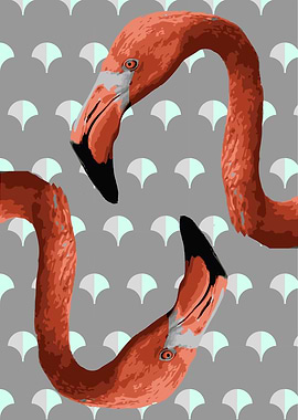 Twin flamingos