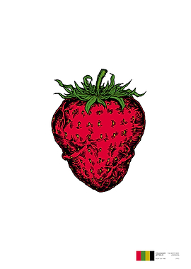 Seeing Sounds BerryFEB19