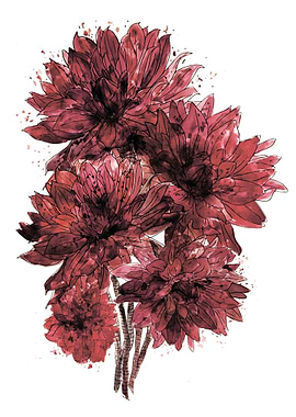 Red Dahlias