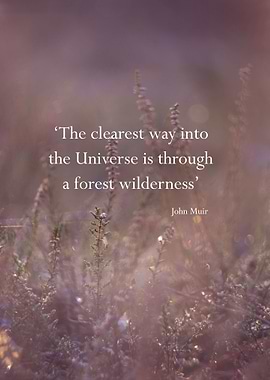 the way of the Universe