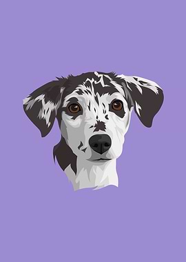 Pet Dalmatian Dog