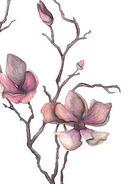 Magnolia Branch