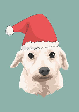 Pet Maltese Dog Christmas