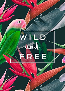 Wild and Free Parrot Palm