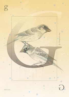 St Gregory Bird Love 1